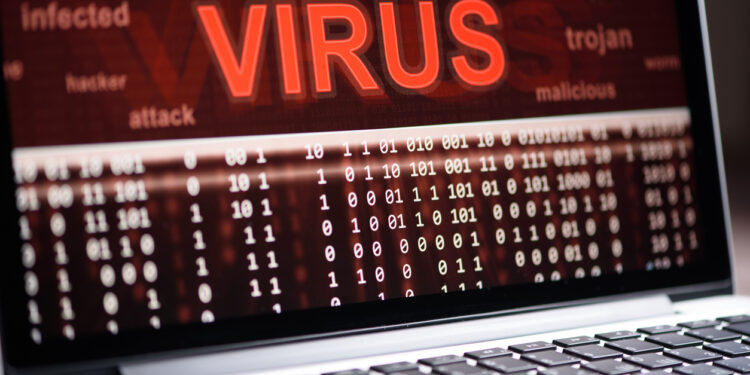 viruses