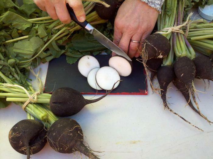 black radish