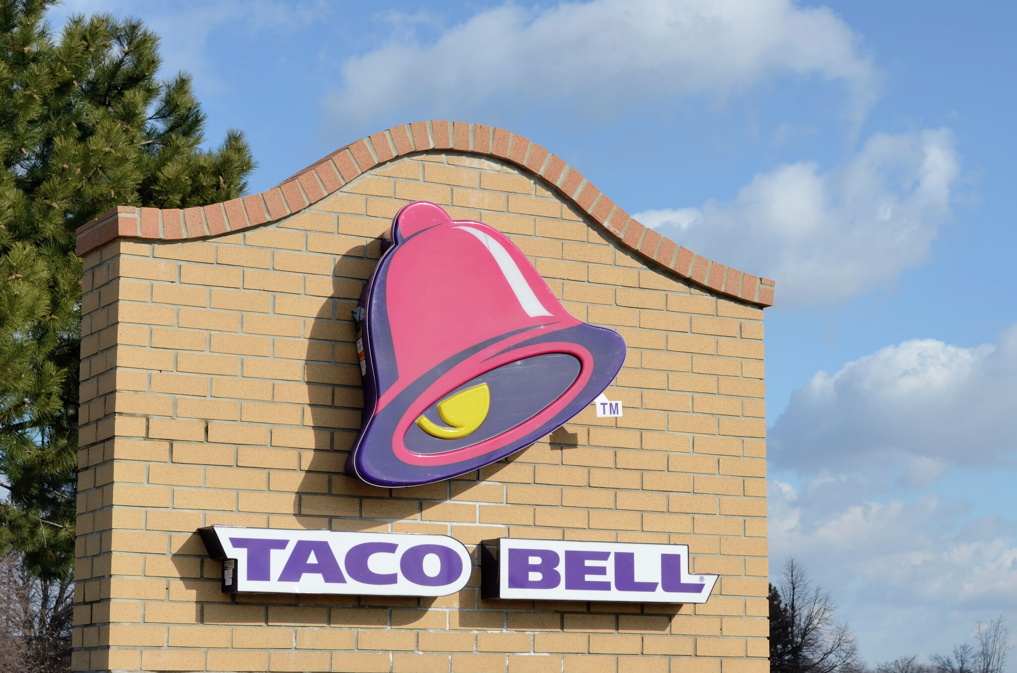 Taco Bell Rat Poisoning