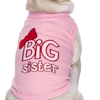 Big Sister Dog Bandana