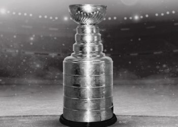 stanley cup custom